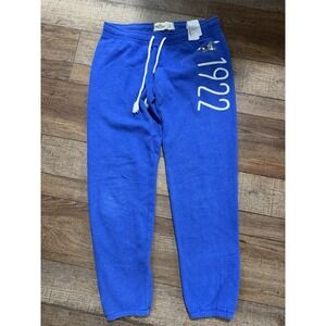 Hollister Sweatpants Blue 1922 Stretch Embroidered Drawstring Woman's Small